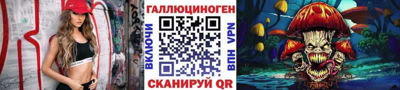 Псилоцибиновые грибы Psilocybine cubensis  Касли 